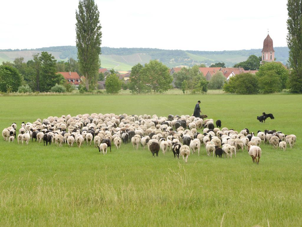 Ferienwohnungen Schuh Ipsheim Kültér fotó